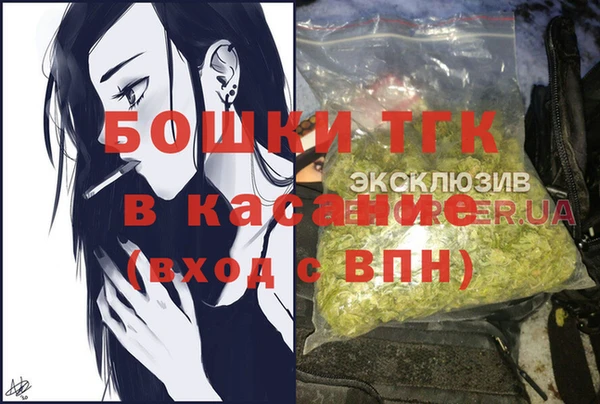 твердый Каменка